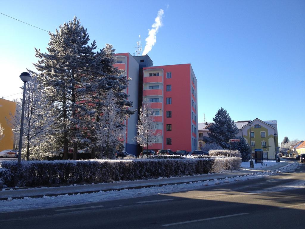 דירות Třeboň Apartman Sportovni מראה חיצוני תמונה